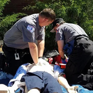 best-standards-and-practices