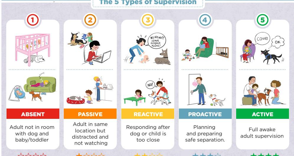 Supervision Click Here to Download Resources on Parent Education