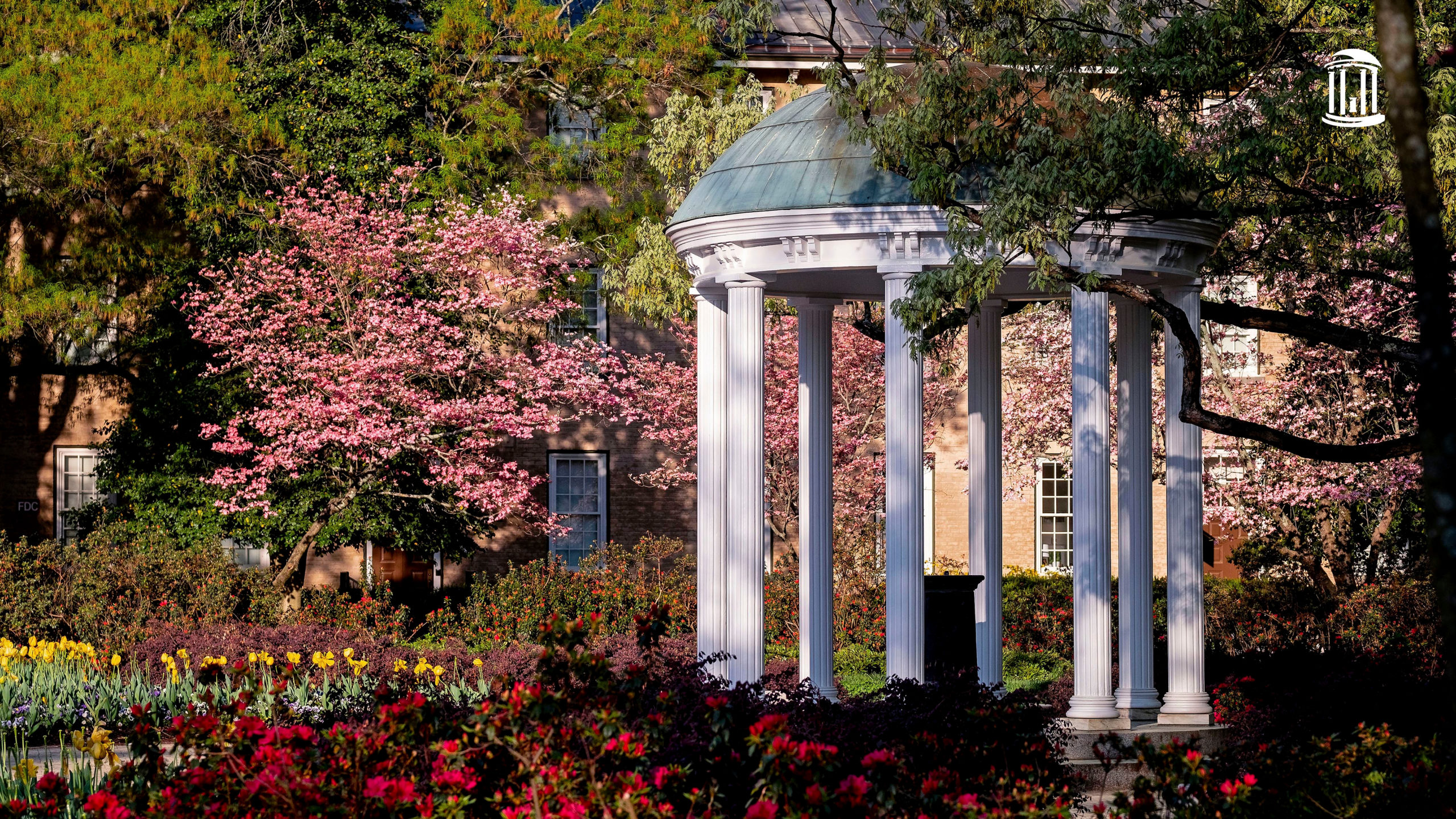 Campus scene at the University of North Carolina at Chapel Hill.